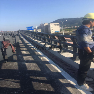 橋梁防撞護(hù)欄